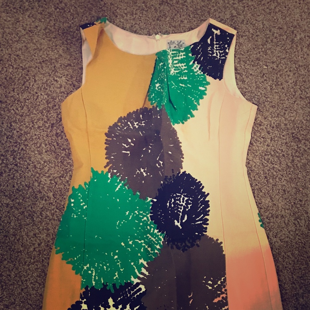 Anthropologie Tabitha pom flower dress